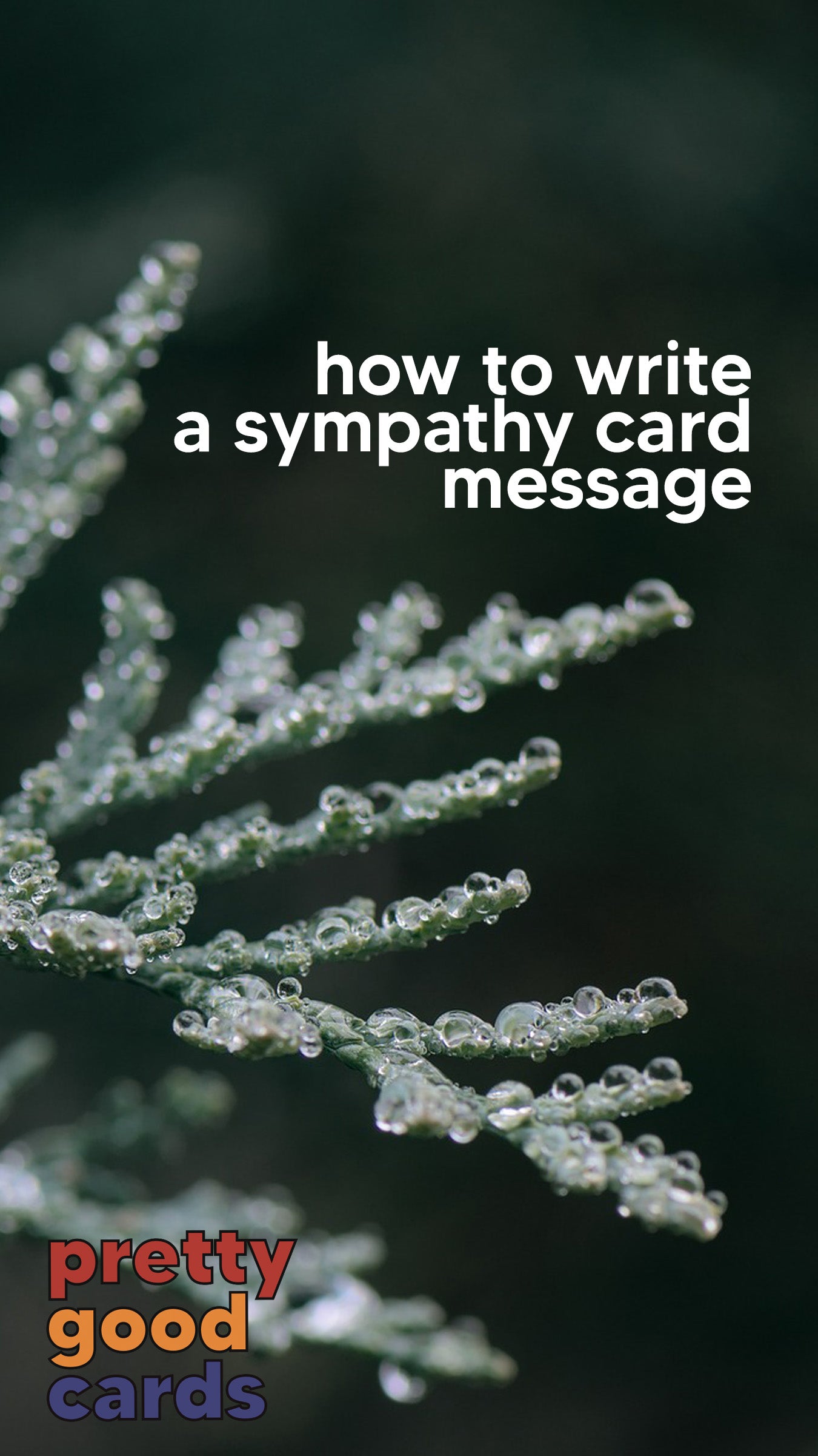 How To Write a Sympathy Card Message